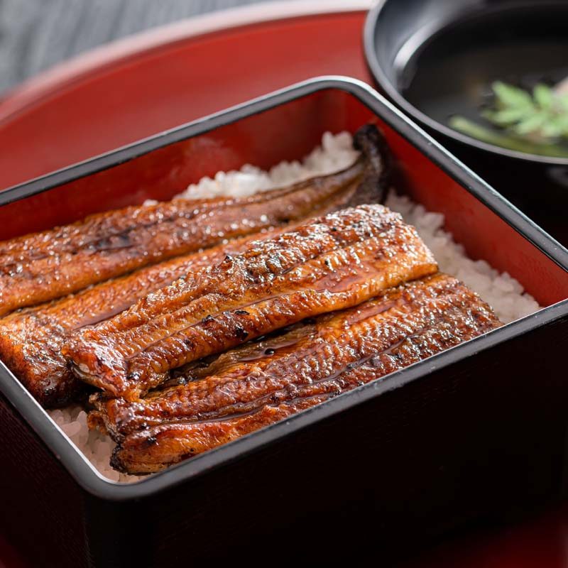 unkai-japanesefood-eel