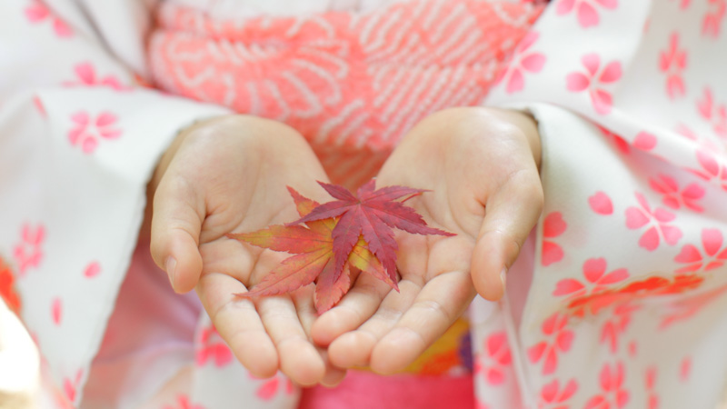 季節のお祝い七五三