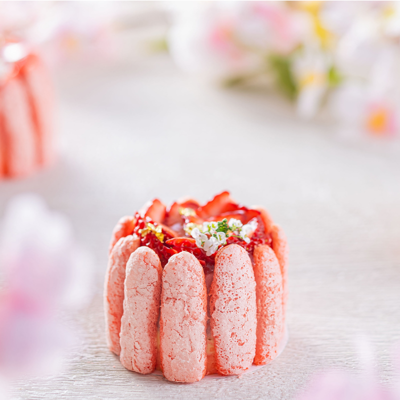 ICシャルロットフレーズ イメージ